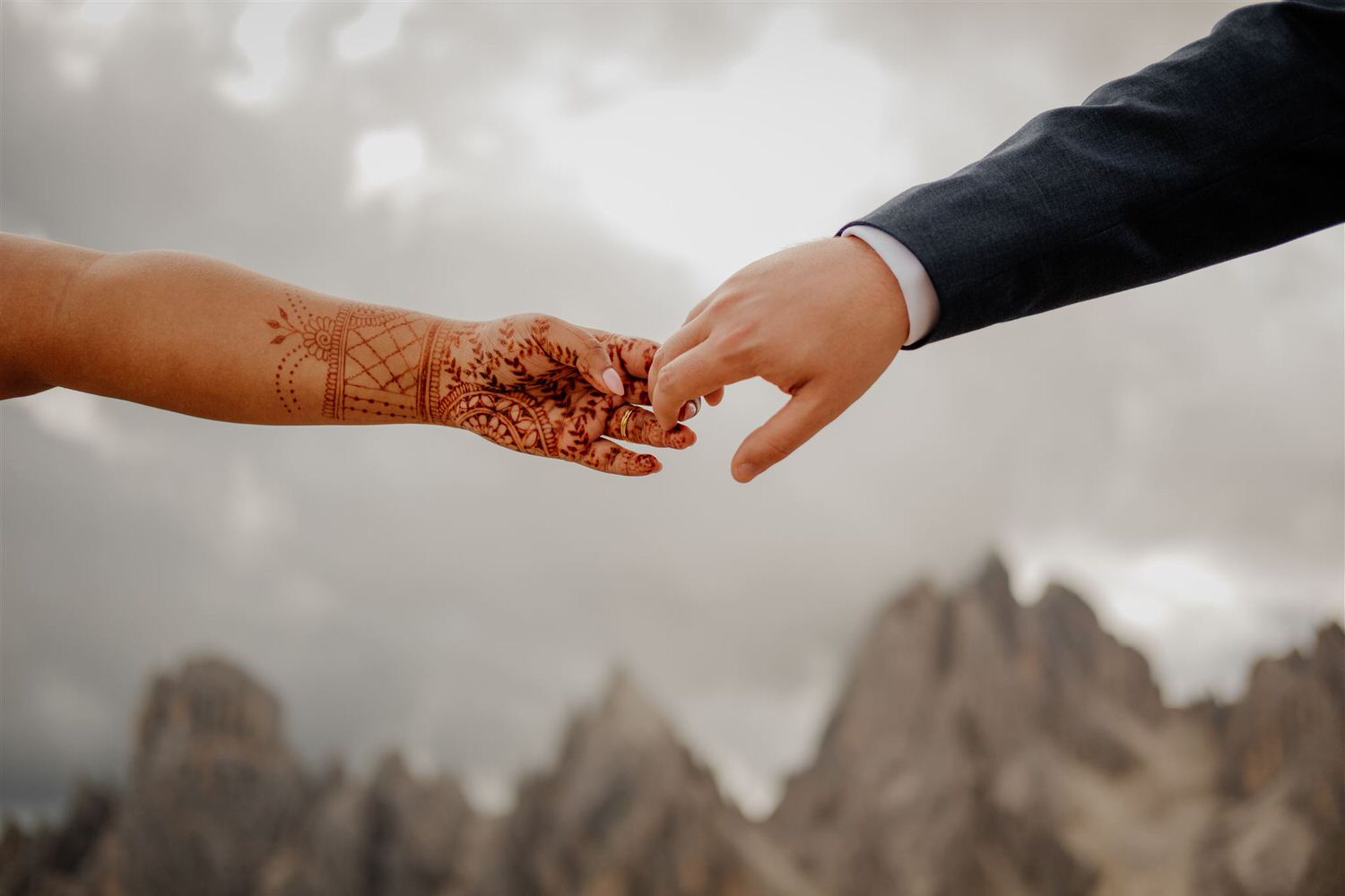 Wild Connections Photography Cat Ekkelboom White  15